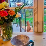 Tiny Haus - Sternenblick - Sauna Garvensdorf