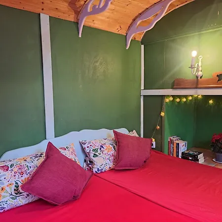 Tiny Haus - Sternenblick - Sauna Tatil Evi