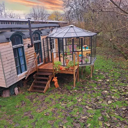 Tiny Haus - Sternenblick - Sauna Tatil Evi