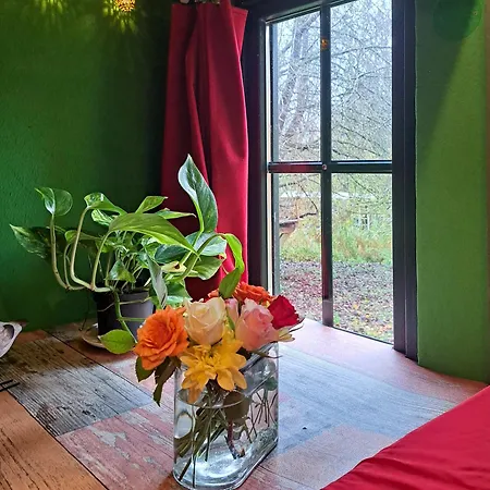 Tiny Haus - Sternenblick - Sauna *