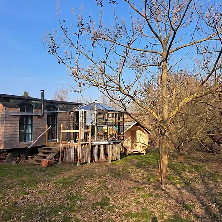 Tiny Haus - Sternenblick - Sauna Tatil Evi *
