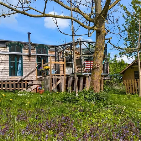 Tiny Haus - Sternenblick - Sauna Tatil Evi
