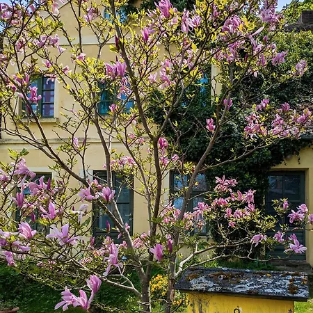 Tiny Haus - Sternenblick - Sauna Garvensdorf